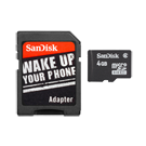 4 GB Memory Card Picture