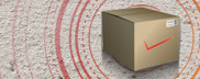 Free Overnight Shipping